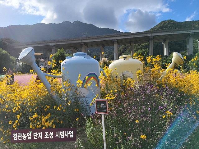 대형 물뿌리개 1